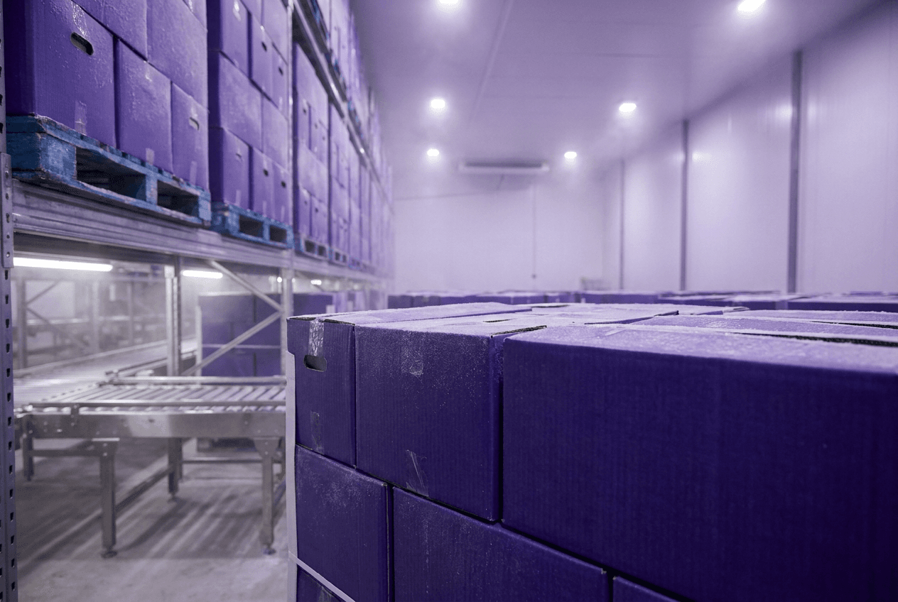 Câmara fria de fábrica de açaí com caixas roxas empilhadas em paletes e uma esteira industrial ao fundo, iluminação limpa em tons de roxo e aço.
